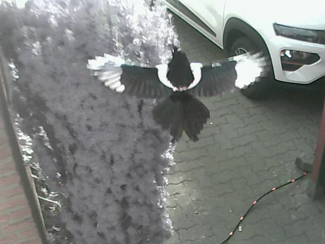 1647022059562.webp