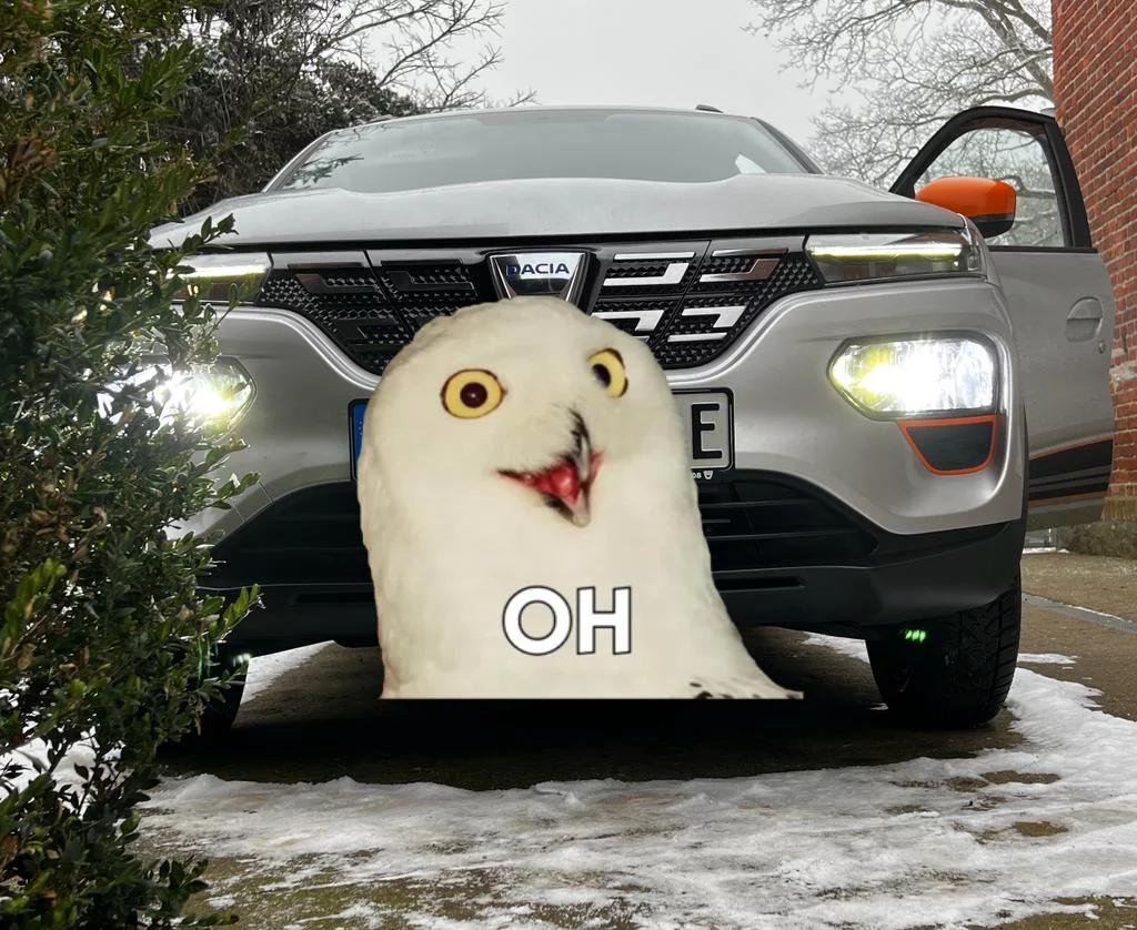 1671288981423.png