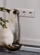 1704480978222.gif