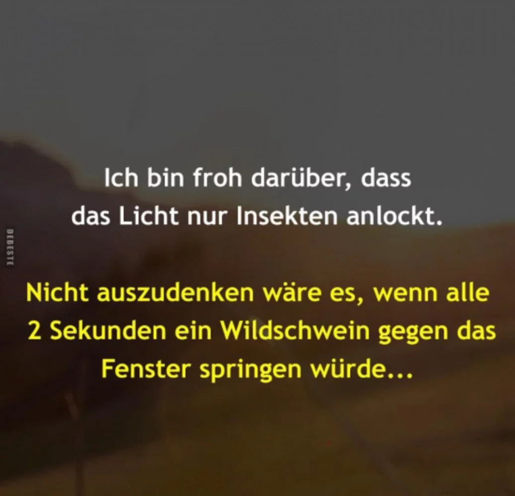 1717414093675.webp