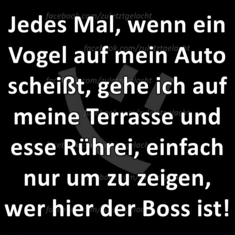 1718086749453.webp