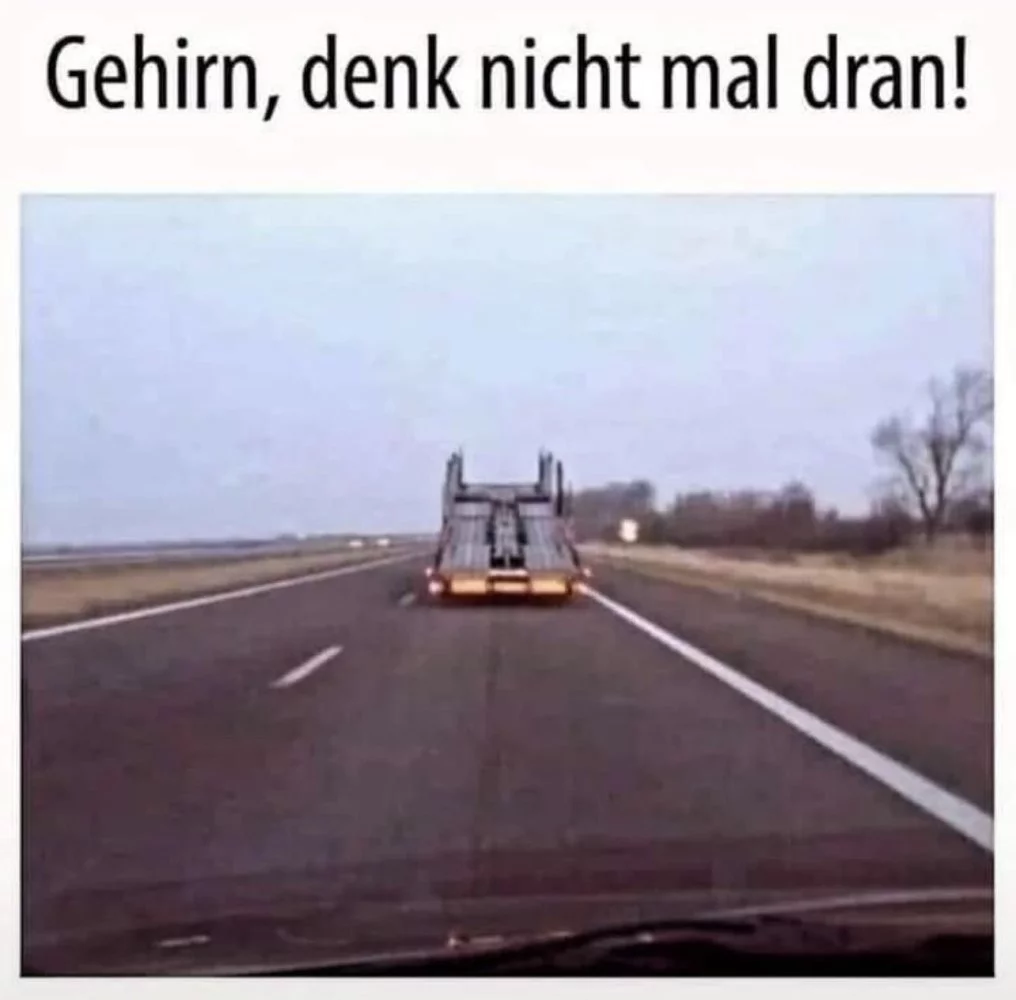 1728250675153.webp