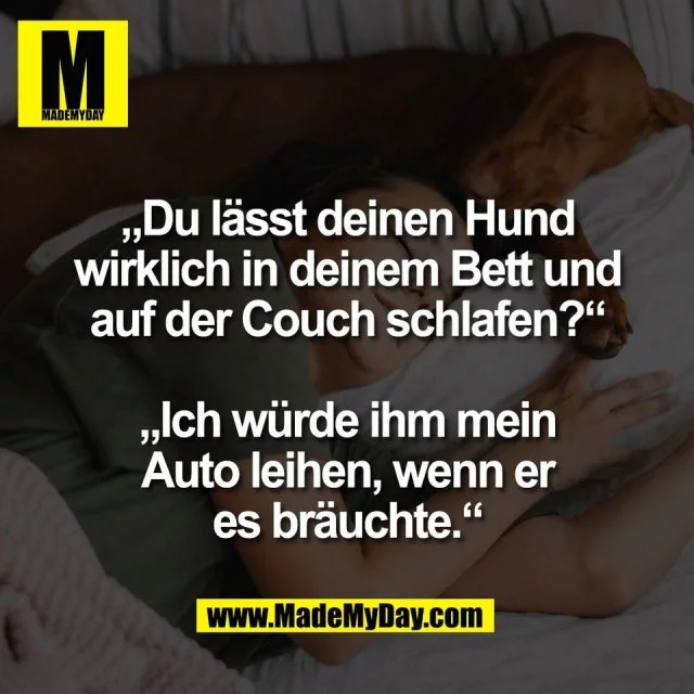 1741123276136.webp