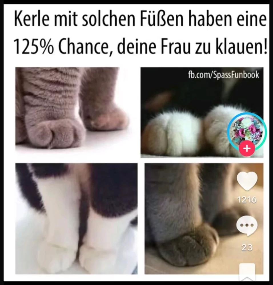 1743191721628.webp