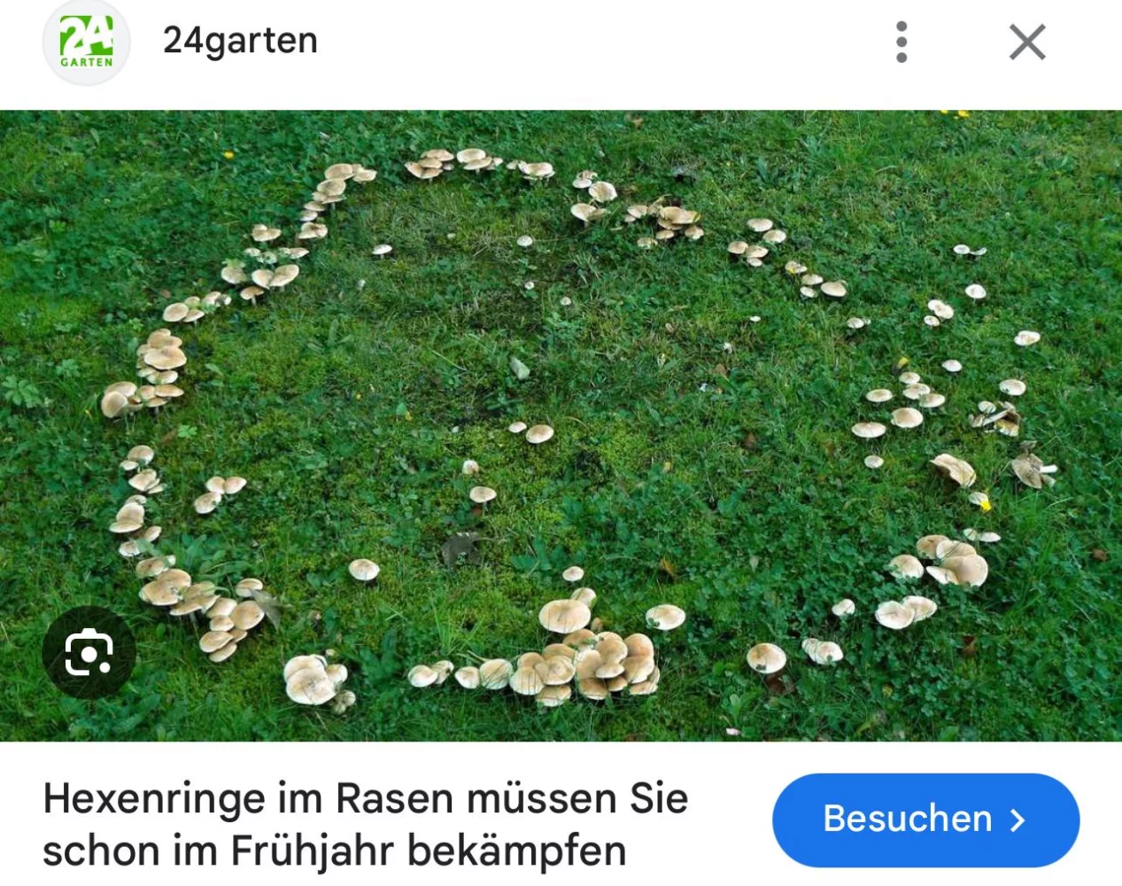 1743592022984.webp