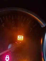 1754125183726.webp