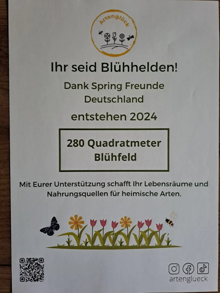 Bluehelden_Spring_Freunde_Deutschland_klein.webp