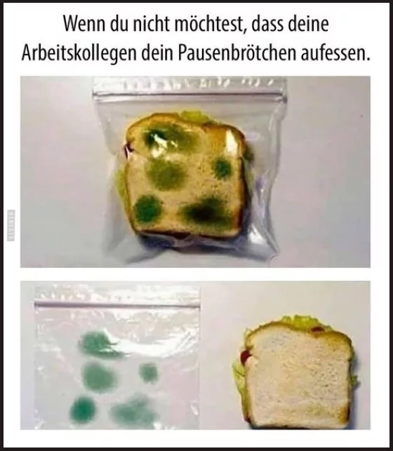 Brot.webp