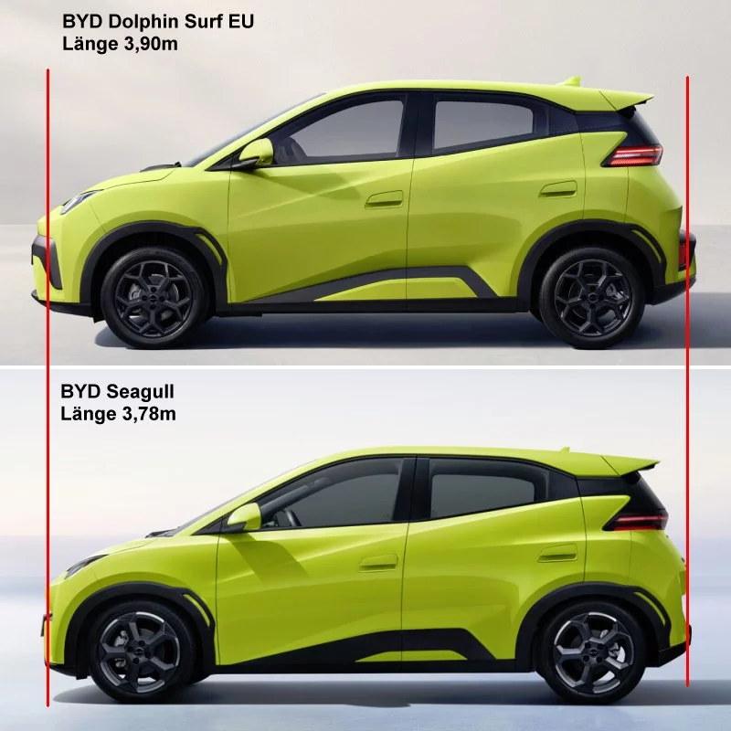 BYD_Surf.webp