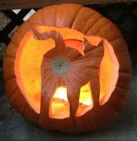 cathalloween.webp