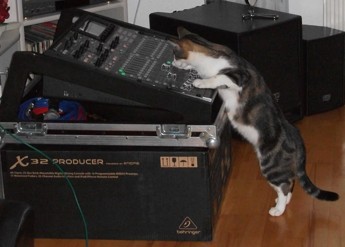 DJ_Cat.webp