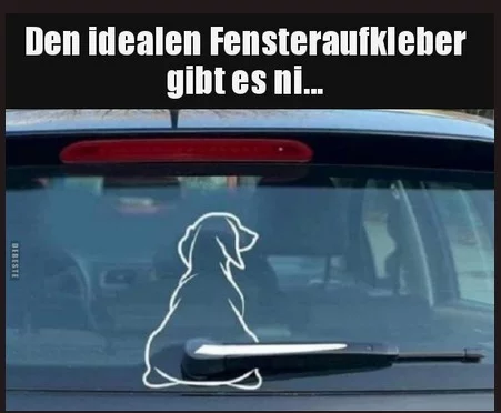 Hund.webp