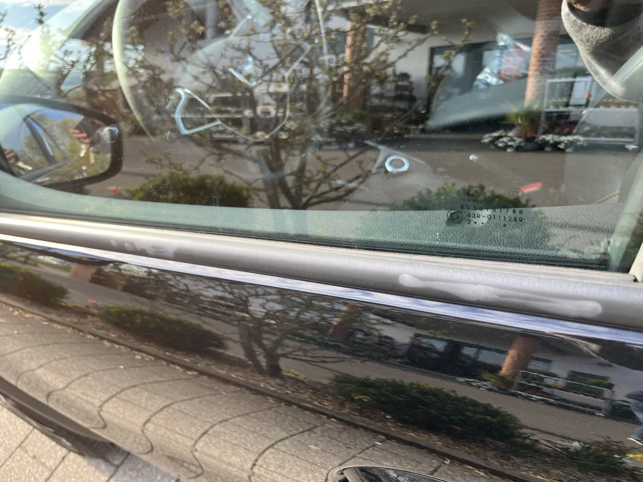 Image1.webp
