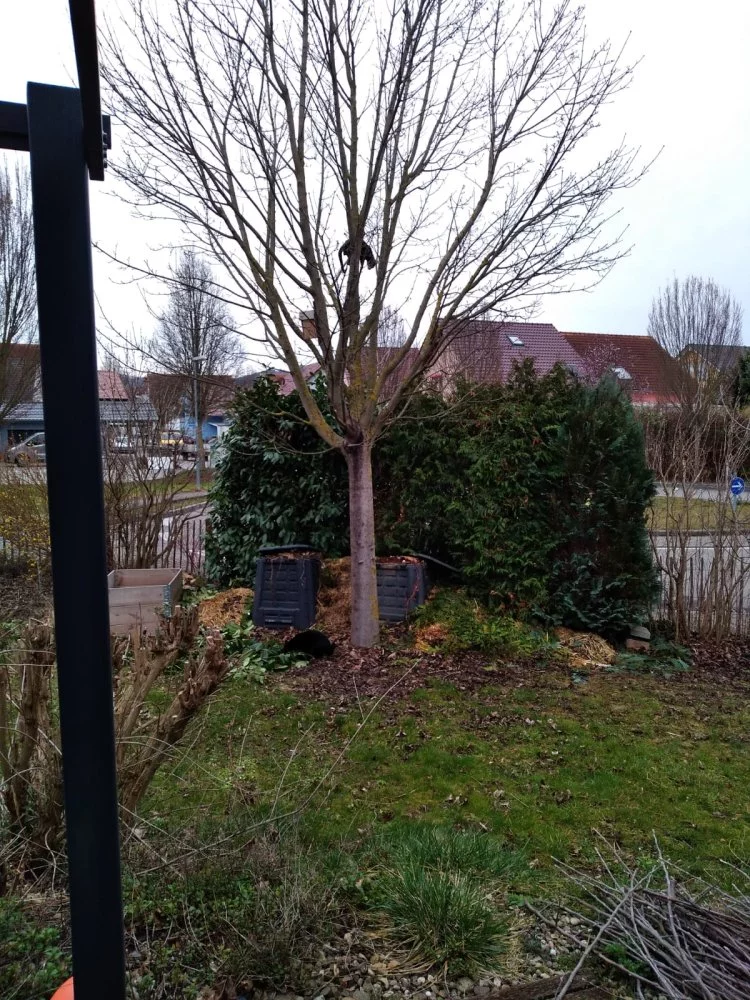 IMG-20230512-WA0000.webp