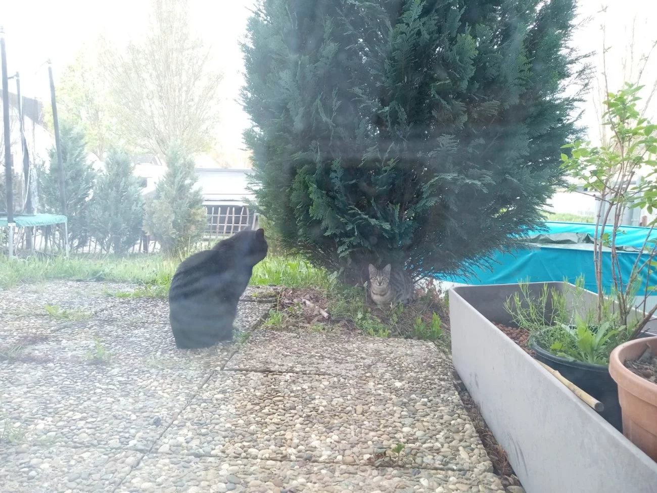 IMG-20240411-WA0000.webp
