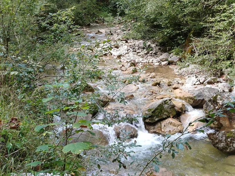 k-20250911_154708.webp