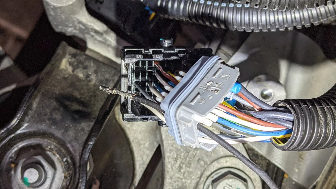 Molex_Pin.webp
