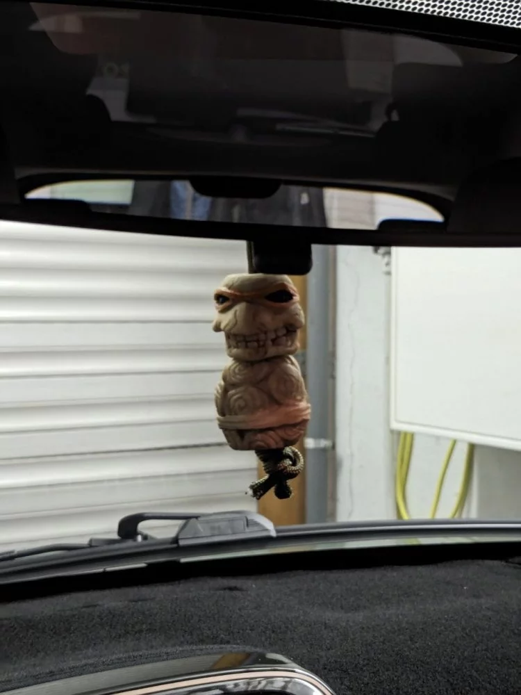 Rückspiegelkröte.jpg