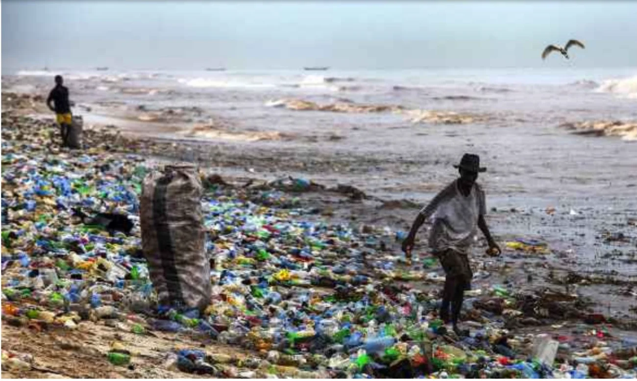 Saubere Umwelt Urlaubsparadies das war einmal.webp