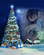 0c995064-fbef-4e8b-bd19-88cbec7fa049.webp