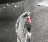 stecker.webp