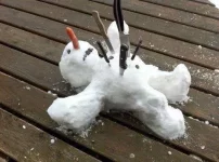 snowm.webp