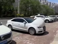 Dacia kurios 2.webp