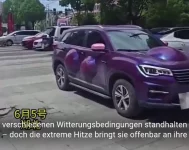 Dacia kurios 4.webp