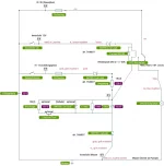 Schaltplan_INNENLICHT.webp