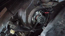 2025-11-04 at 08.09.31 sitz back.webp