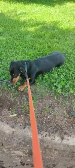IMG-20220614-WA0003.webp