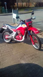 1680793245133.webp