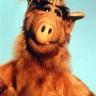 Alf